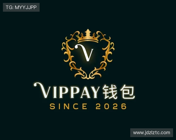 发现VipPay钱包